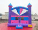 Indoor Mini Jumping Castle 1000D Inflatable Bounce Houses
